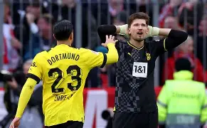 上海队与山西队比赛视频