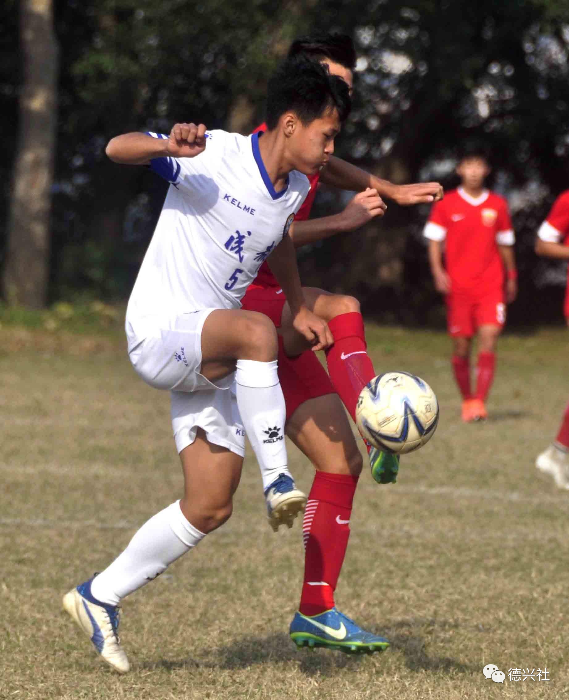 小将许金杨破门！重庆斯威主场击败辽宁宏运()