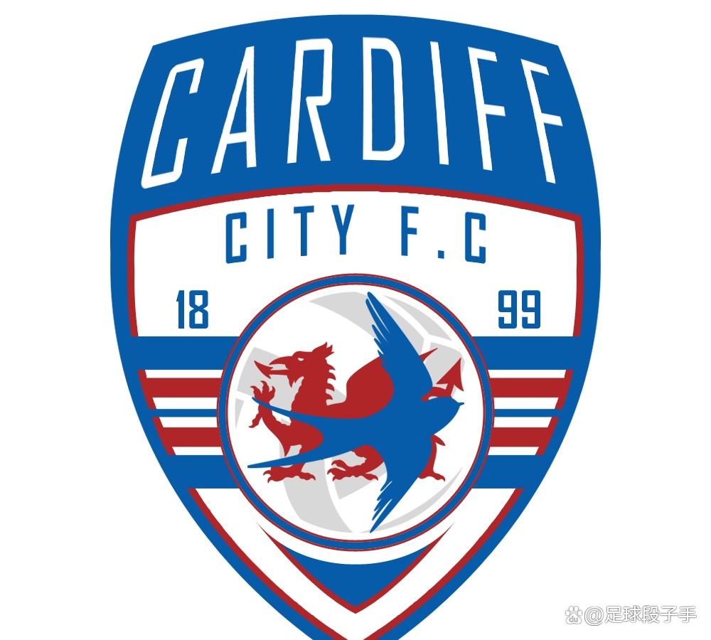 卡迪夫城引进黑马球员，冲击英冠头名()