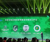 塞尔塔宣布新赞助商合作，球队财政稳步发展！(中超球队赞助商一览)